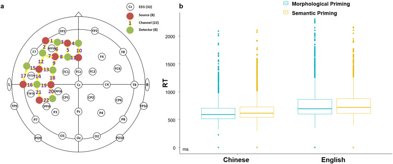 Shared and distinct neural correlates of first and second language morphological processing in bilingual brain.