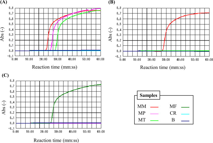 Specific and sensitive loop-mediated isothermal amplification (LAMP) method for Madurella strains, eumycetoma filamentous fungi causative agent.