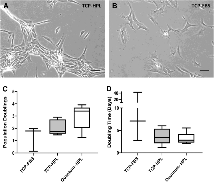 The Upscale Manufacture of Chondrocytes for Allogeneic Cartilage Therapies.