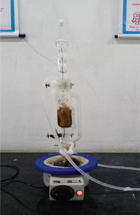 The Antibacterial Effect of Tinospora Cordifolia (Guduchi) and Its Role in Combating Antimicrobial Resistance.