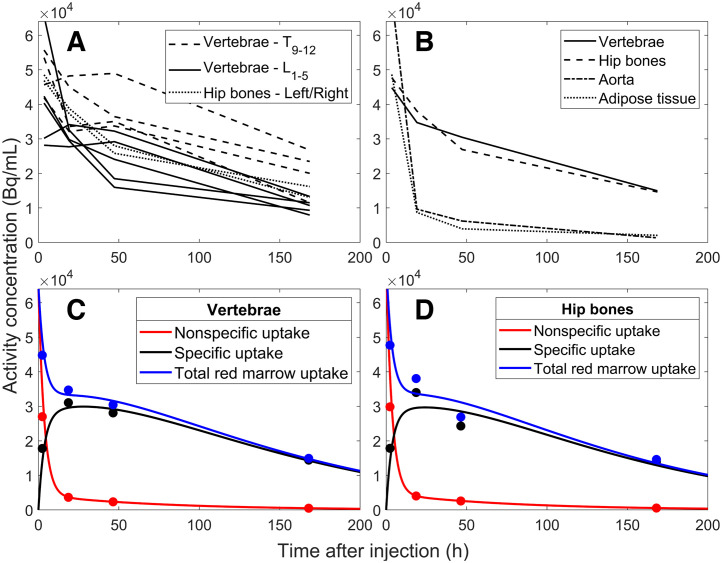 Specific Uptake in the Bone Marrow Causes High Absorbed Red Marrow Doses During [<sup>177</sup>Lu]Lu-DOTATATE Treatment.