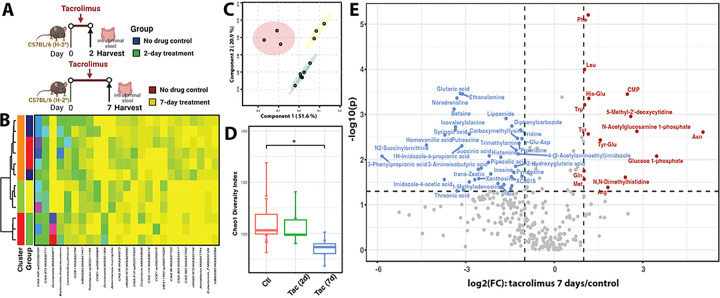 Rapid intestinal and systemic metabolic reprogramming in an immunosuppressed environment.