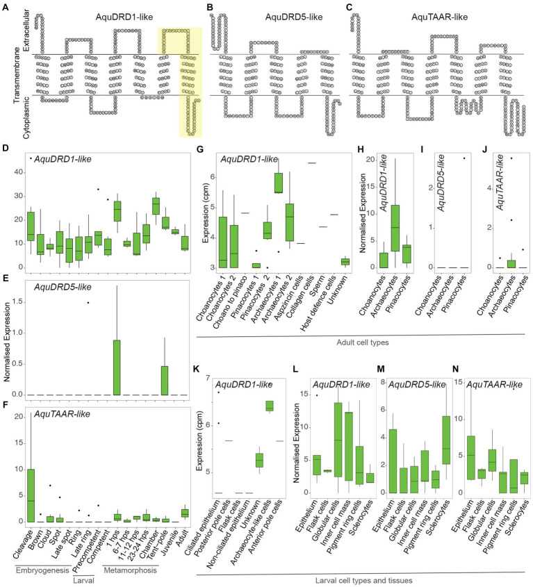 Potential for host-symbiont communication via neurotransmitters and neuromodulators in an aneural animal, the marine sponge <i>Amphimedon queenslandica</i>.