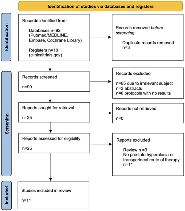 Transperineal laser ablation as a new minimally invasive surgical therapy for benign prostatic hyperplasia: a systematic review of existing literature.