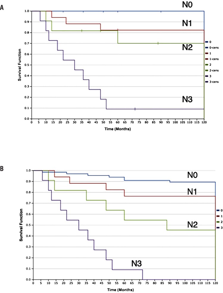 Long-term oncological and surgical outcomes after Video Endoscopic Inguinal Lymphadenectomy (VEIL) in patients with penile cancer.