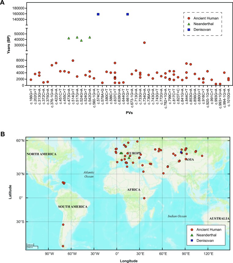 <i>TP53</i> germline pathogenic variants in modern humans were likely originated during recent human history.