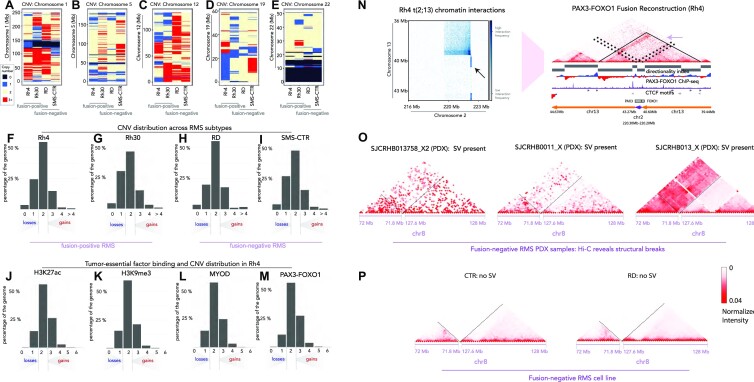 The 3D chromatin landscape of rhabdomyosarcoma.