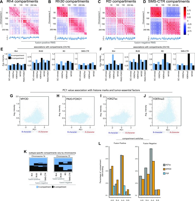 The 3D chromatin landscape of rhabdomyosarcoma.