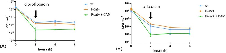 A paradox of bacterial persistence and antibiotic resistance: chloramphenicol acetyl transferase as a double barrel shot gun.