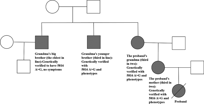 Possible Role of Mitochondrial Transfer RNA Gene 5816 A > G Genetic Polymorphism (m.5816A > G) in a 3-Year-Old Child with Dystonia: Report of a Case.