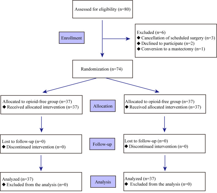 Opioid Free Total Intravenous Anesthesia With Dexmedetomidine-Esketamine-Lidocaine for Patients Undergoing Lumpectomy.