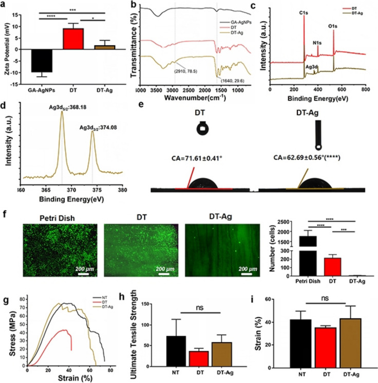 Silver nanoparticles-decorated extracellular matrix graft: fabrication and tendon reconstruction performance.