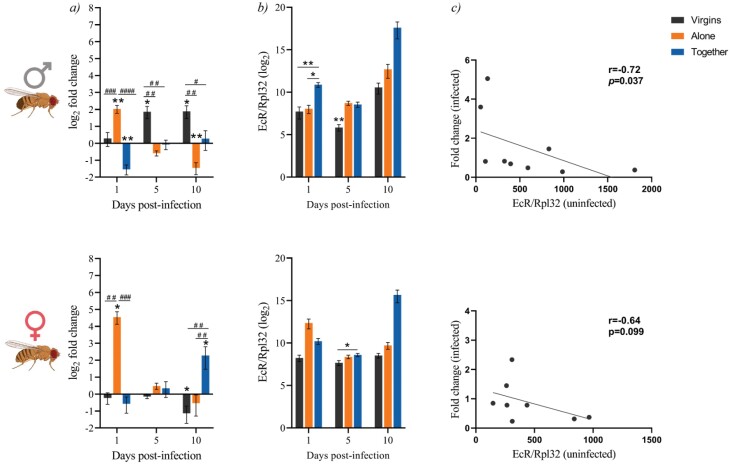 The reproductive status determines tolerance and resistance to <i>Mycobacterium marinum</i> in <i>Drosophila melanogaster</i>.