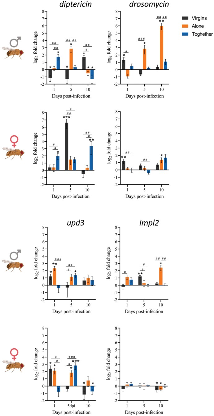 The reproductive status determines tolerance and resistance to <i>Mycobacterium marinum</i> in <i>Drosophila melanogaster</i>.