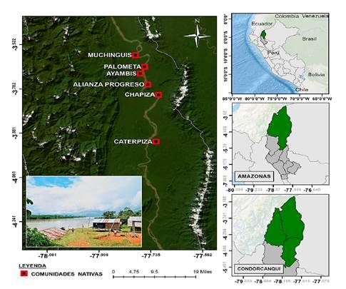 Molecular characterization of the Plasmodium falciparum k13 gene helix domain in samples from native communities of Condorcanqui, Amazonas, Perú