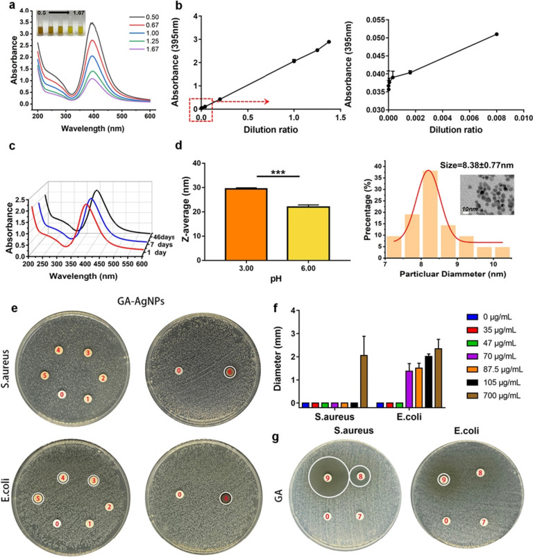 Silver nanoparticles-decorated extracellular matrix graft: fabrication and tendon reconstruction performance.