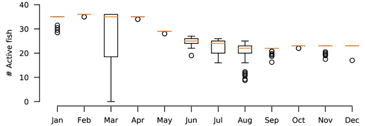 Rhythm of relationships in a social fish over the course of a full year in the wild.