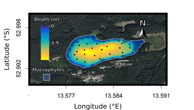 Rhythm of relationships in a social fish over the course of a full year in the wild.