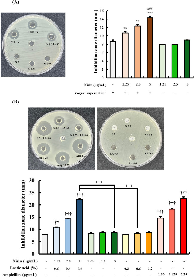 <i>In Vitro</i> Synergistic Antibacterial and Anti-Inflammatory Effects of Nisin and Lactic Acid in Yogurt against <i>Helicobacter pylori</i> and Human Gastric Cells.