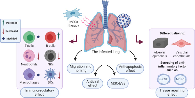 The promising approach of MSCs therapy for COVID-19 treatment.