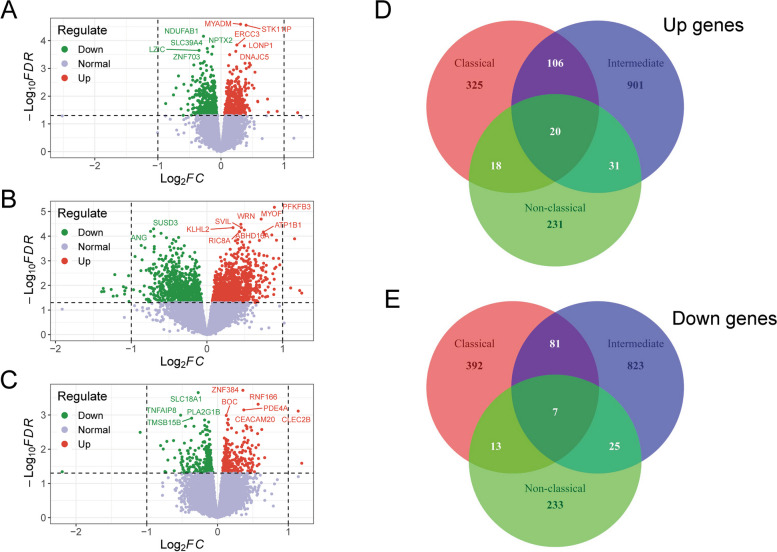 Transcriptional characteristics and functional validation of three monocyte subsets during aging.