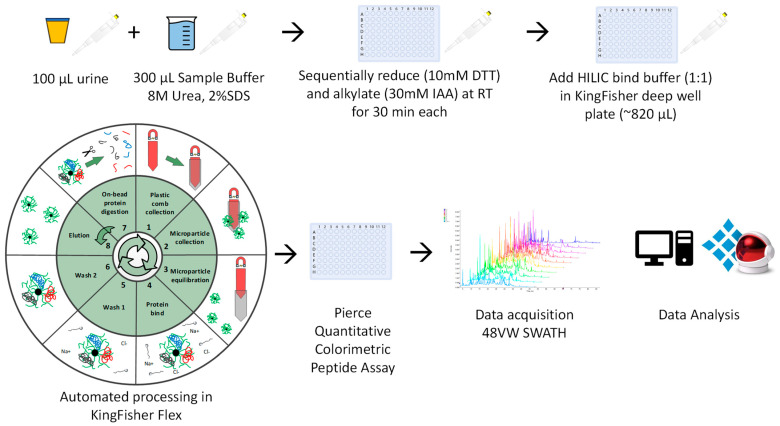 Urine-HILIC: Automated Sample Preparation for Bottom-Up Urinary Proteome Profiling in Clinical Proteomics.