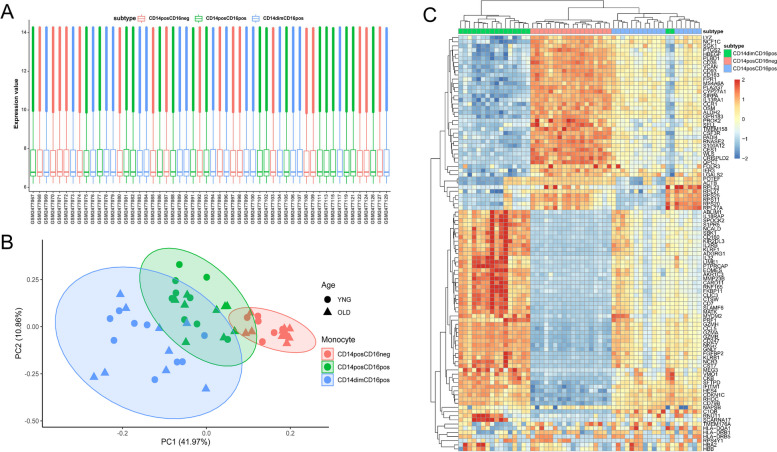 Transcriptional characteristics and functional validation of three monocyte subsets during aging.