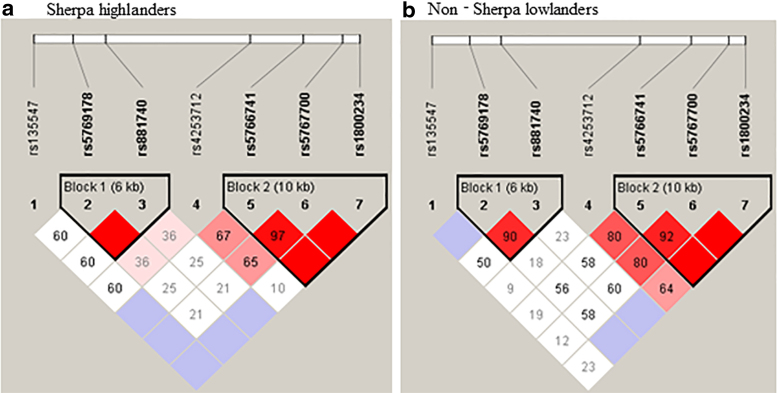 The Contribution of Genetic Variants of the Peroxisome Proliferator-Activated Receptor-Alpha Gene to High-Altitude Hypoxia Adaptation in Sherpa Highlanders.