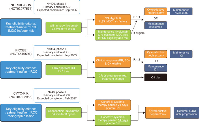 Cytoreductive nephrectomy in the age of immunotherapy-based combination treatment.