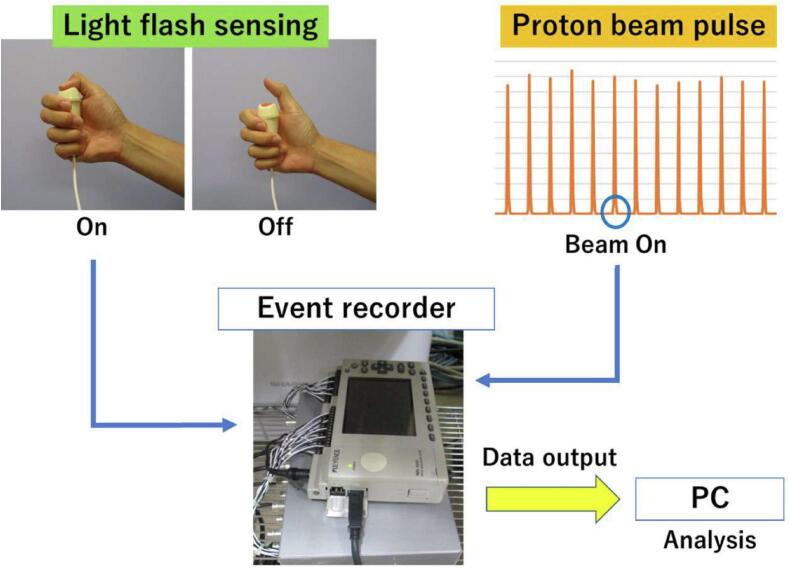 Synchronization of light flash with the irradiation pulse in proton beam therapy: A case report