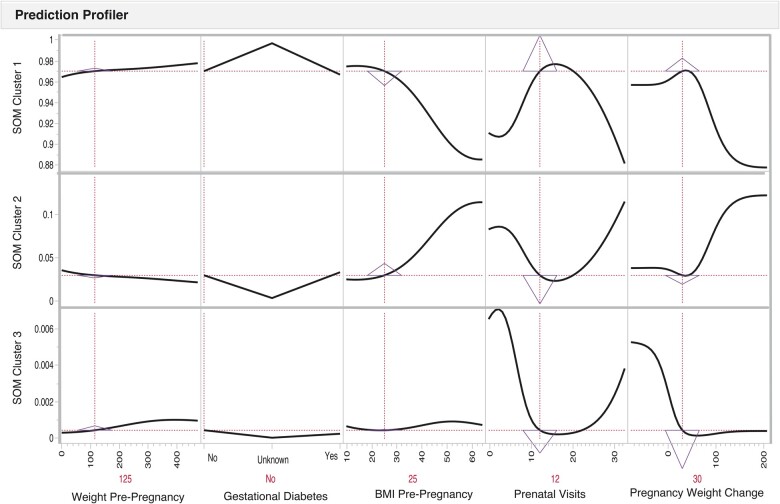 Artificial neural network approaches to identify maternal and infant risk and asset factors using Peridata.Net: a WI-MIOS study.