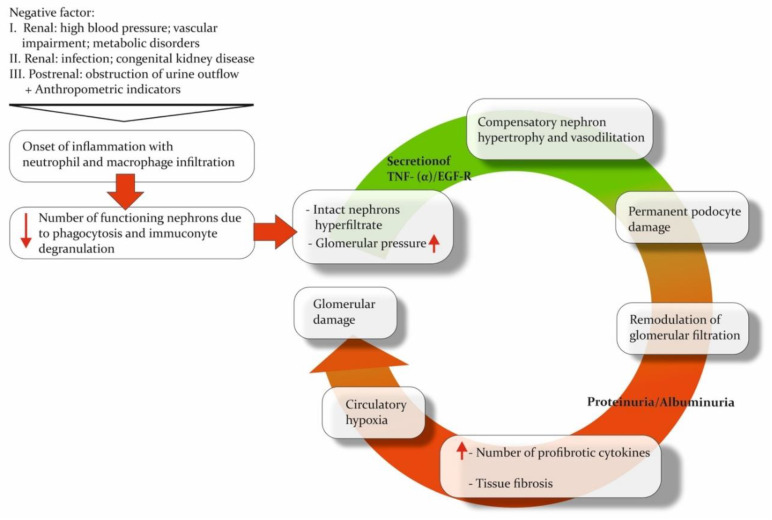 CKD Urine Metabolomics: Modern Concepts and Approaches.