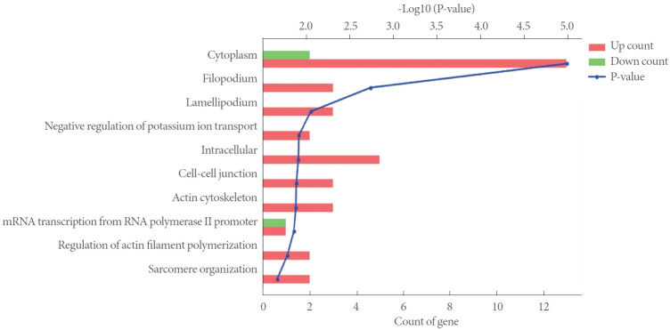 Differentially Expressed mRNA in Streptozotocin-Induced Diabetic Bladder Using RNA Sequencing Analysis.