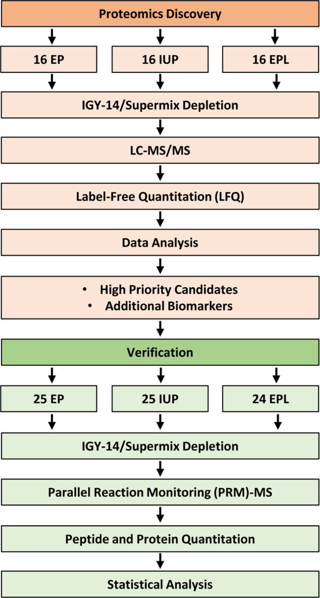 Identification and verification of plasma protein biomarkers that accurately identify an ectopic pregnancy.