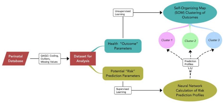 Artificial neural network approaches to identify maternal and infant risk and asset factors using Peridata.Net: a WI-MIOS study.