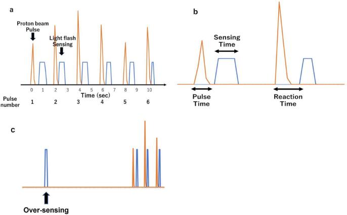 Synchronization of light flash with the irradiation pulse in proton beam therapy: A case report