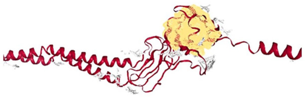 Prediction of Druggable Allosteric Sites of Undruggable Multidrug Resistance Efflux Pump <i>P. Gingivalis</i> Proteins.