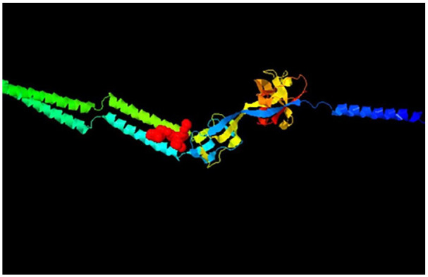 Prediction of Druggable Allosteric Sites of Undruggable Multidrug Resistance Efflux Pump <i>P. Gingivalis</i> Proteins.