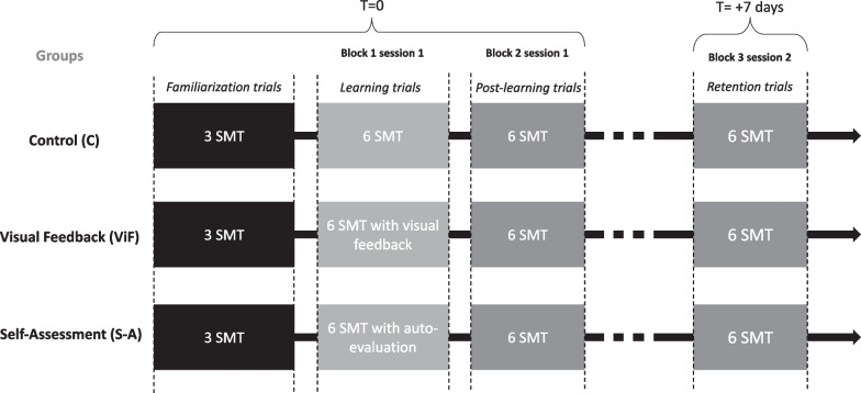 Can self-assessment and augmented feedback improve performance and learning retention in manual therapy: results from an experimental study.