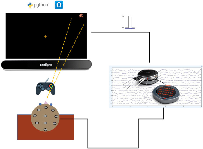 A Potential Multimodal Test for Clinical Assessment of Visual Attention in Neurological Disorders.