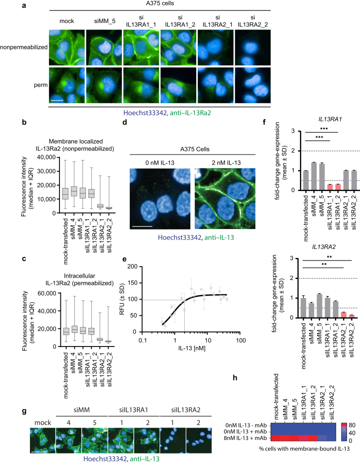 Tralokinumab Effectively Disrupts the IL-13/IL-13Rα1/IL-4Rα Signaling Complex but Not the IL-13/IL-13Rα2 Complex