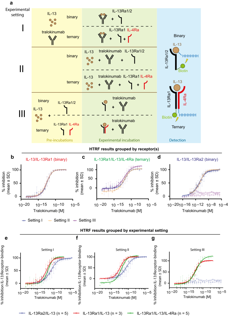 Tralokinumab Effectively Disrupts the IL-13/IL-13Rα1/IL-4Rα Signaling Complex but Not the IL-13/IL-13Rα2 Complex