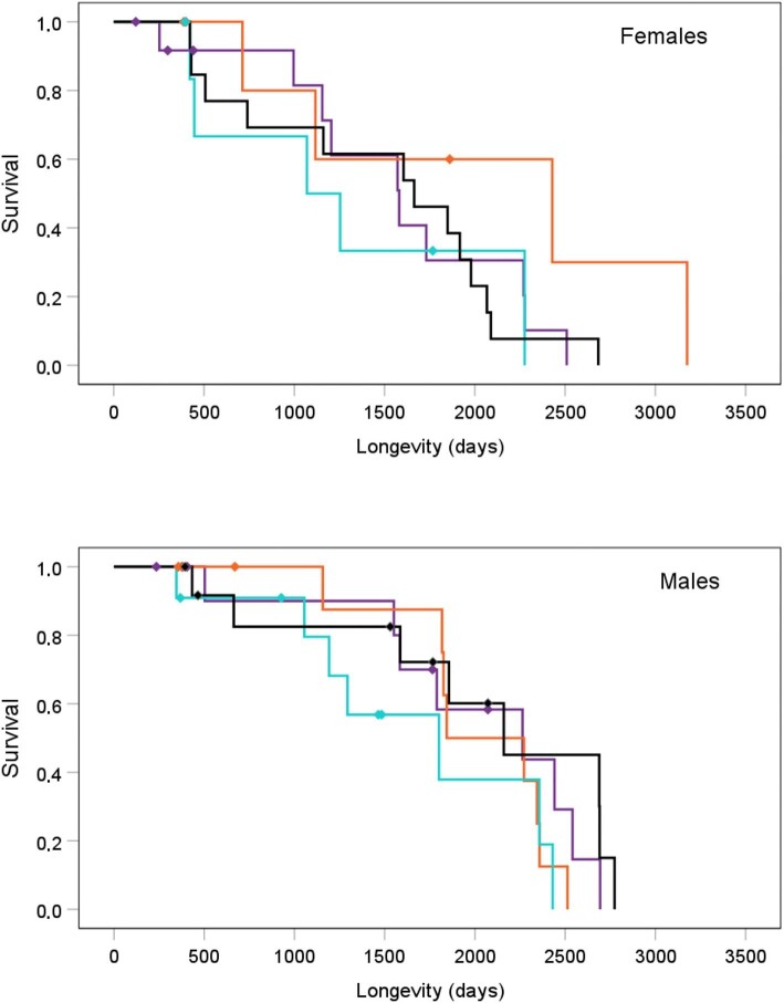 Low Antioxidant Glutathione Levels Lead to Longer Telomeres: A Sex-Specific Link to Longevity?