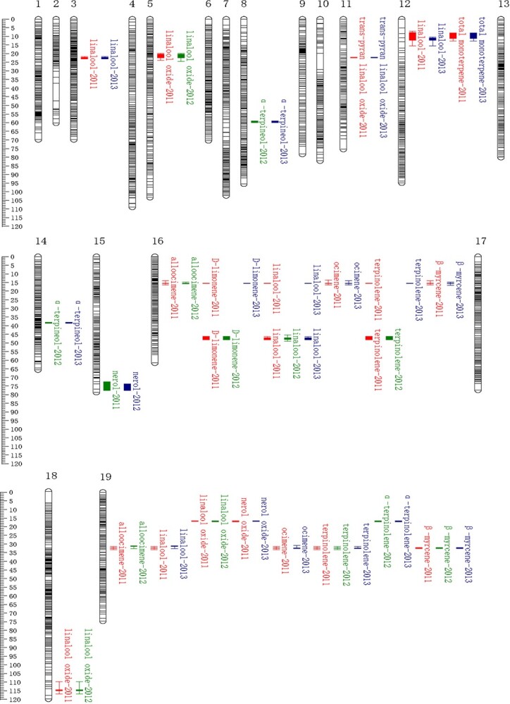 Basic leucine zipper gene <i>VvbZIP61</i> is expressed at a quantitative trait locus for high monoterpene content in grape berries.