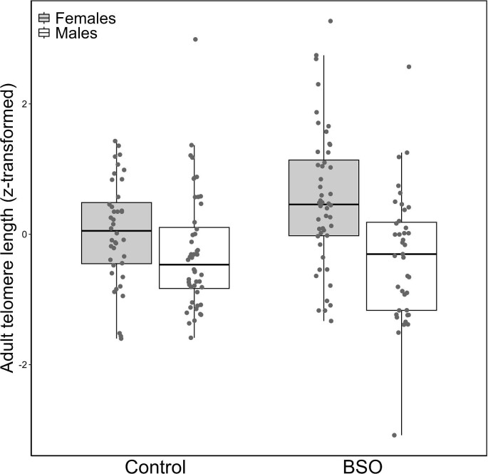 Low Antioxidant Glutathione Levels Lead to Longer Telomeres: A Sex-Specific Link to Longevity?