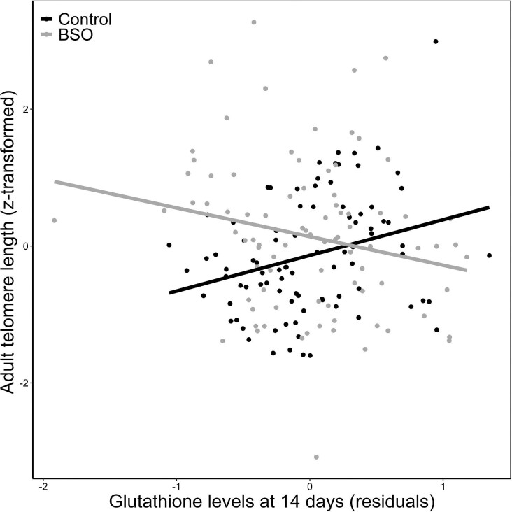 Low Antioxidant Glutathione Levels Lead to Longer Telomeres: A Sex-Specific Link to Longevity?