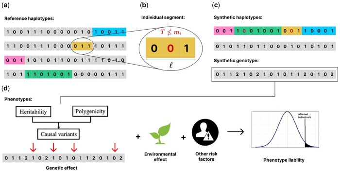 HAPNEST: efficient, large-scale generation and evaluation of synthetic datasets for genotypes and phenotypes.