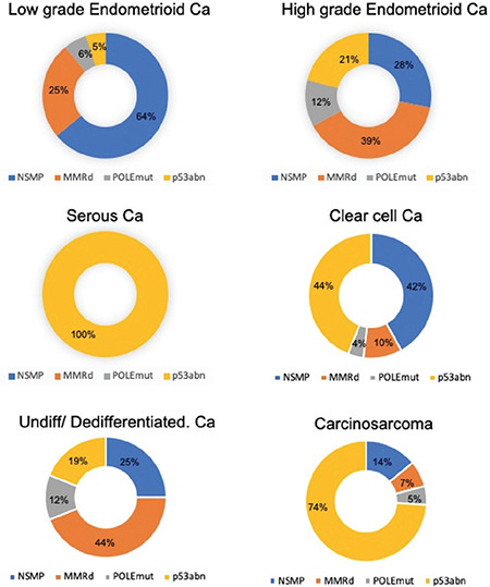 The importance of molecular classification of endometrial carcinomas in clinical practice: how to apply it and difficulties in application