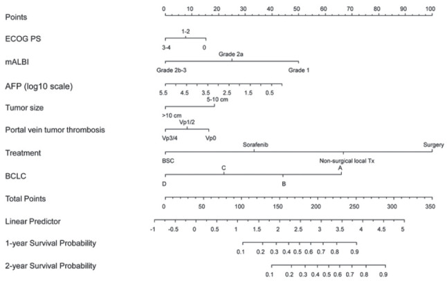 Nomogram for predicting overall survival in patients with large (>5 cm) hepatocellular carcinoma based on real-world practice.