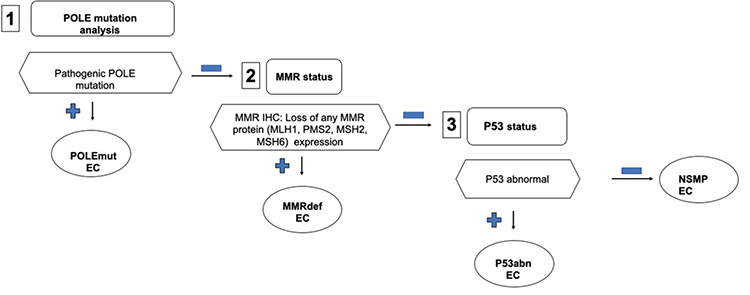 The importance of molecular classification of endometrial carcinomas in clinical practice: how to apply it and difficulties in application